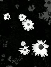 keguo过老虎机菊花游戏币||