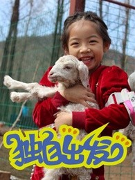 独自出发第二季