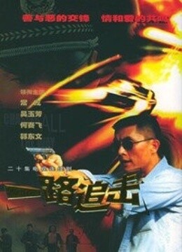 一路追击(更新至12集)-全集在线观看-电视剧-爱