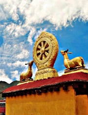 西藏微记录-视频在线观看- 爱奇艺 纪录片