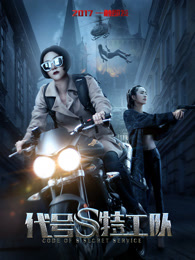 代号s特工队