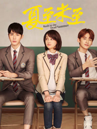 夏至未至网络版