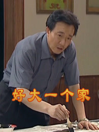 好大一个家宋波版-电视剧-全集高清正版视频在
