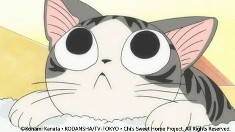 甜甜私房猫第2集