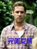 完美女婿