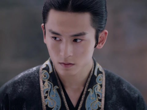 为太子的指使,与此同时,龙非夜呈上证据,证明国舅才是真正的幕后元凶